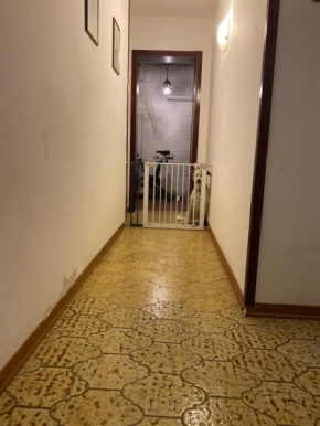 Summer's House Castelfranco Veneto
